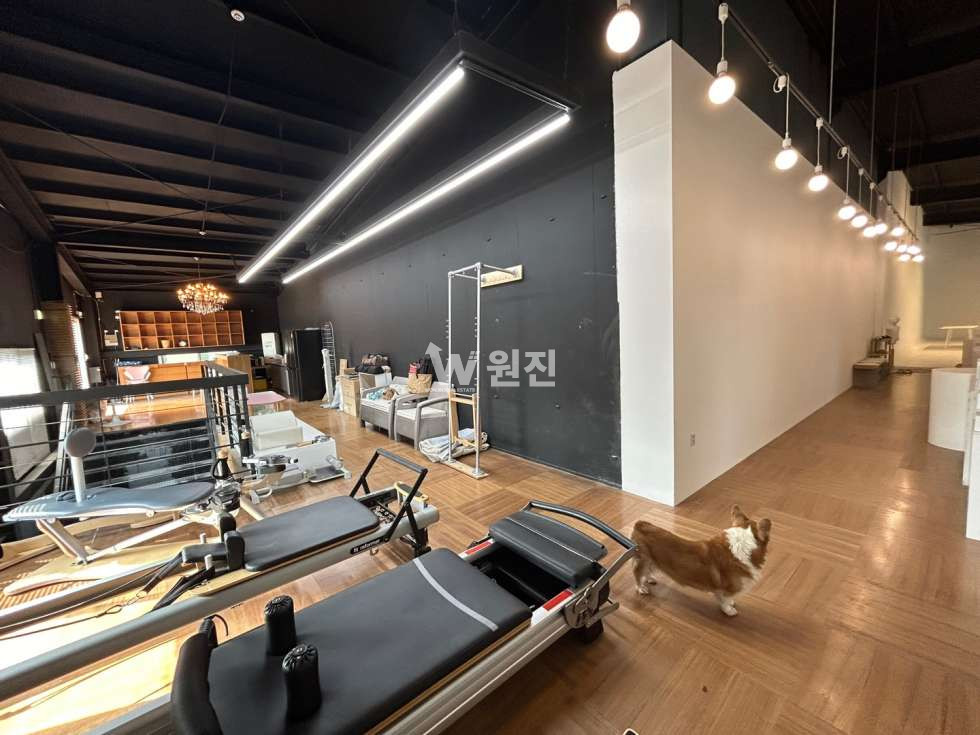 경기 파주시 월롱면 덕은리 덕은리 월롱IC 5분 넓은마당 시설인수가능 매매 매물번호 10588 사진 14
