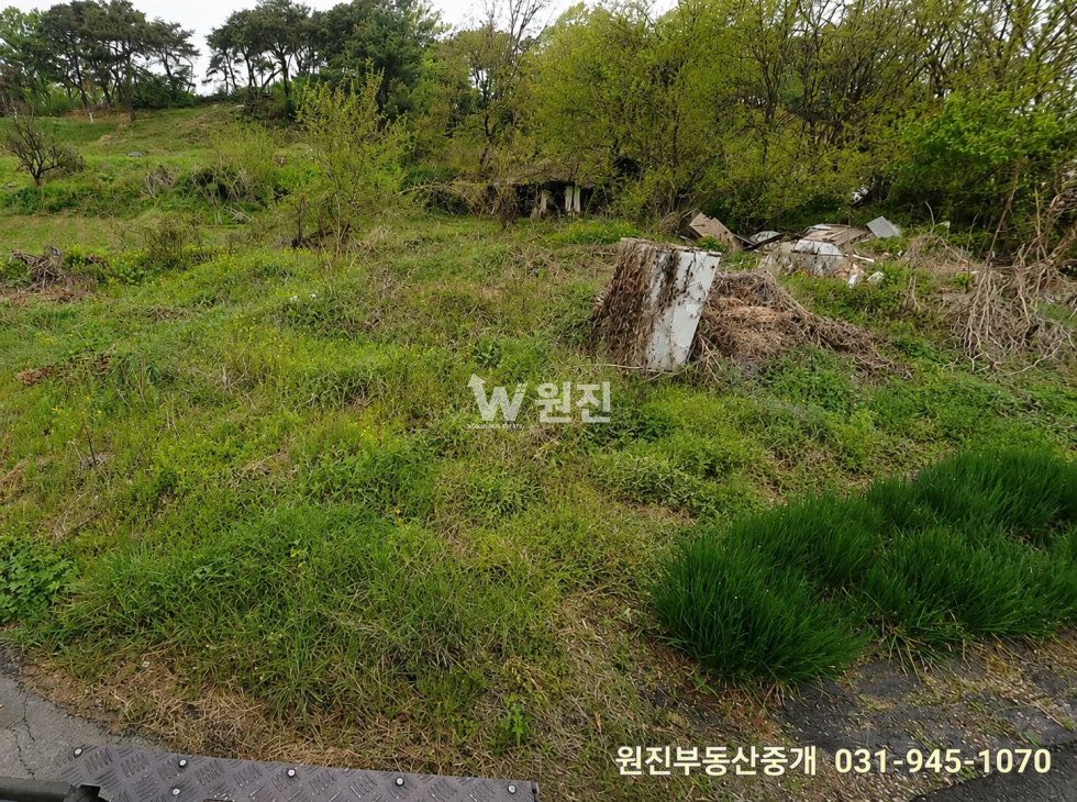 경기 파주시 송촌동 건축허가완료｜정남향 나대지, 주택·소매점·창고부지 추천 매매 매물번호 11609 사진 1