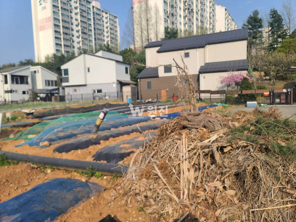 경기 파주시 동패동 GTX-A 도보권｜단독주택단지 내 88평 주거용 토지 매매 매매 매물번호 10096 사진 1
