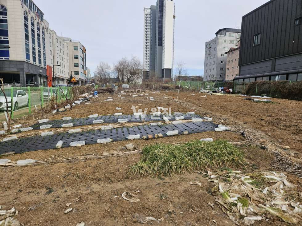 경기 고양일산서구 덕이동 토지매매 매매 매물번호 10090 사진 3