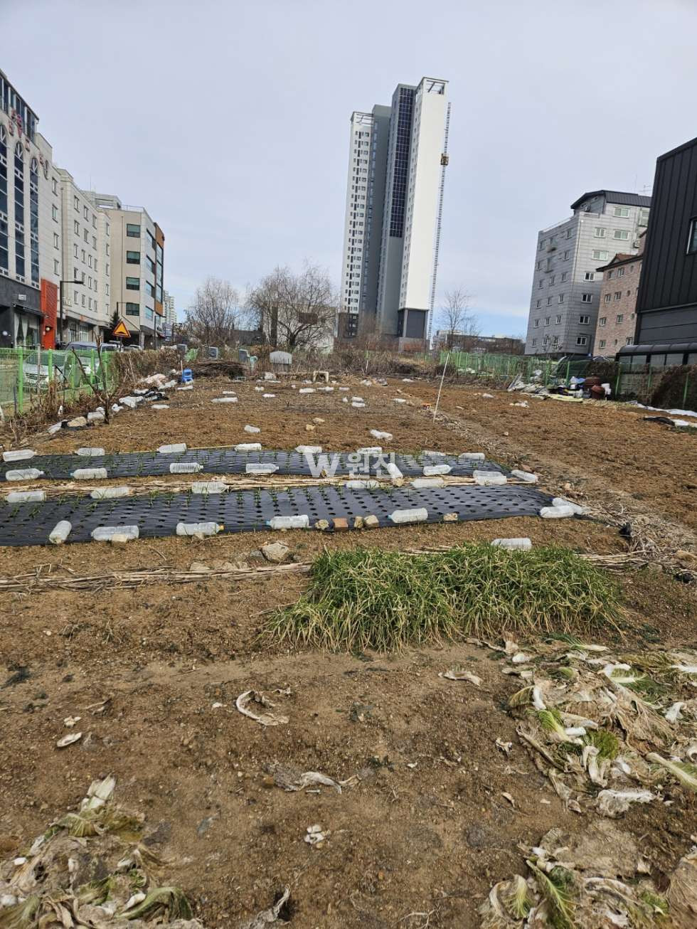 경기 고양일산서구 덕이동 덕이동 준주거 대지 매매 매매 매물번호 10258 사진 1