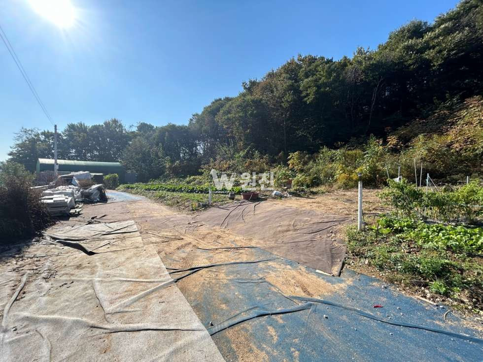 경기 고양일산동구 문봉동 236-14 문봉동 1,500 허가득 토지매매 매매 매물번호 10605 사진 7