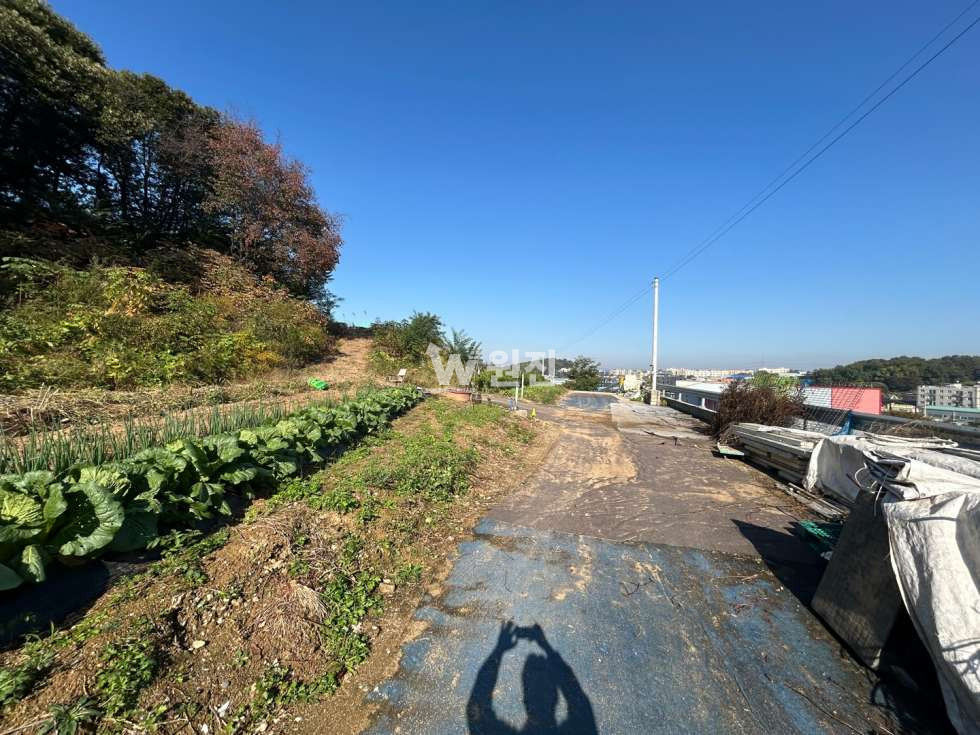 경기 고양일산동구 문봉동 236-14 문봉동 1,500 허가득 토지매매 매매 매물번호 10605 사진 9